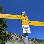 Wegweiser bei Chalets de Dreveneuse 1745 m.ü.M. unser nächstes Ziel lautet nun Pointe de Bellevue