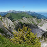 super schönes Breitbildfoto mit Blick Richtung Genfersee