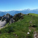 super schönes Breitbildfoto. Links der Genfersee, Grand Muveran und rechts der Dents du Midi