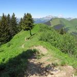 ...wandern wir alles dem Westrücken folgend weiter abwärts...