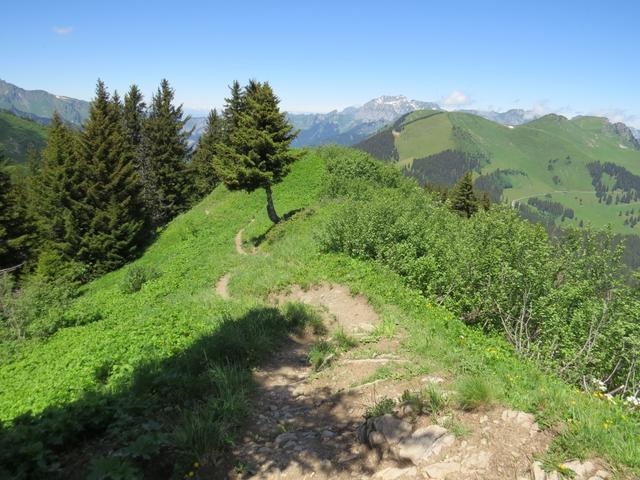 ...wandern wir alles dem Westrücken folgend weiter abwärts...