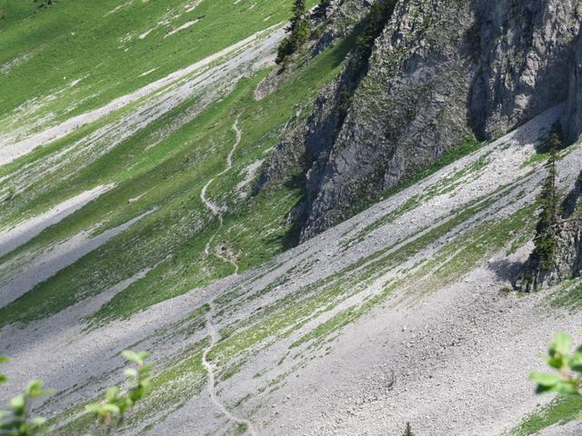 gut ersichtlich der Wanderweg den wir erwandert haben