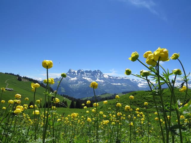 was für eine schöne Aussicht!