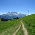 auf dem Weg nach Les Ecottis mit Blick zum Dents du Midi