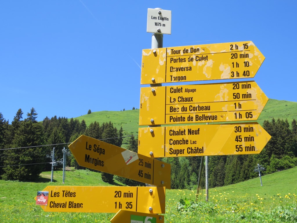 bei der Weggabelung bei Les Ecottis 1675 m.ü.M. weiter geht es nach Les Têtes