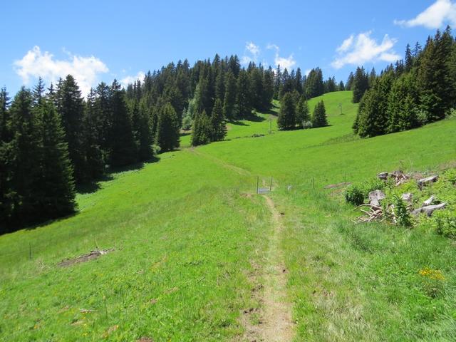 auf dem Weg zu Punkt 1631 m.ü.M.