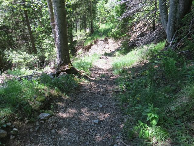 wegen einem Murgang ist ab hier der Wanderweg verschüttet