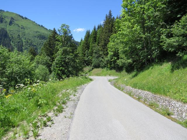 oberhalb von Les Têtes stossen wir auf die Strasse...