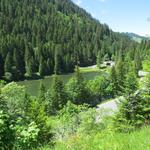 ... die uns wieder zum Lac de Morgins führt