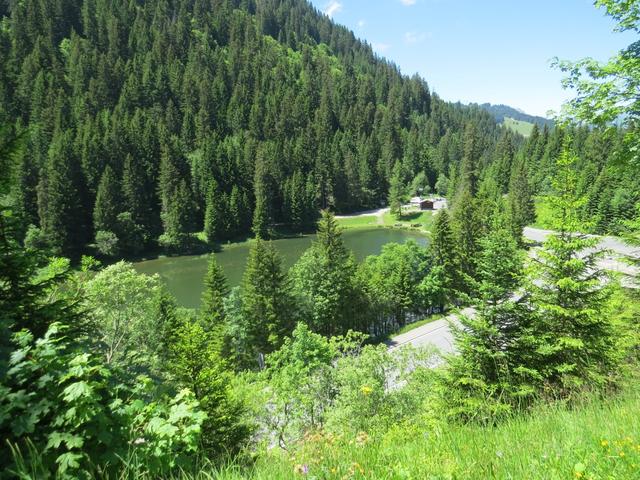 ... die uns wieder zum Lac de Morgins führt