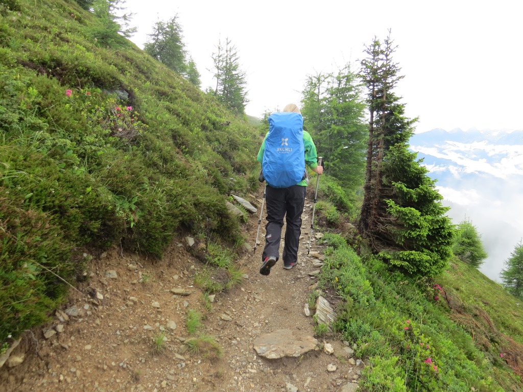 wir halten unser Tempo ein, und wandern weiter Richtung Gasthaus Goglesalm