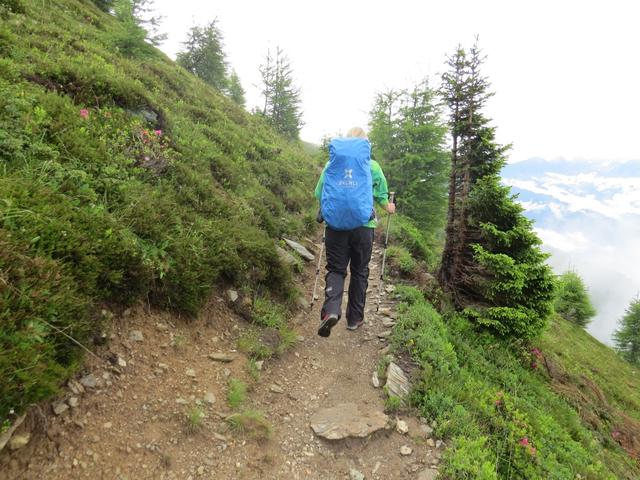 wir halten unser Tempo ein, und wandern weiter Richtung Gasthaus Goglesalm