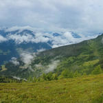 schönes Breitbildfoto aufgenommen auf der Goglesalm, mit Blick in die Ötztaler Alpen