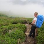 meine Maus hat im dichten Nebel die Gaflunhütte erspäht