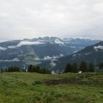 Blick ins Piztal