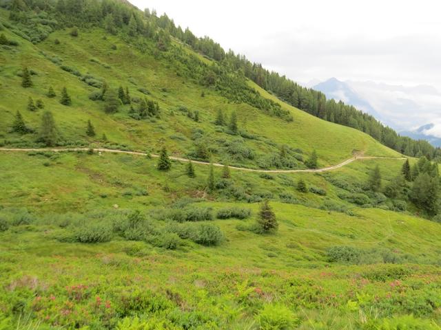 wir lassen also die Gaflunhütte hinter uns...