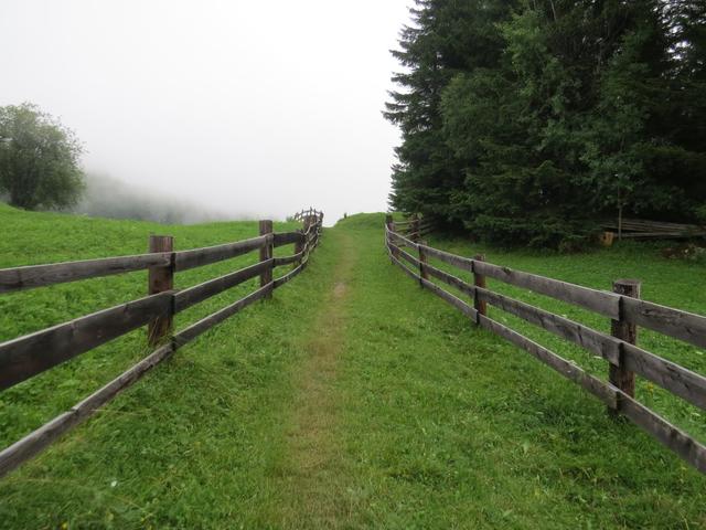 wir verlassen den Klockerwald und wandern nun über Alpweiden an Auders vorbei