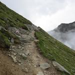 der Bergweg ist bis zum Pitztaler Jöchl gut markiert ersichtlich