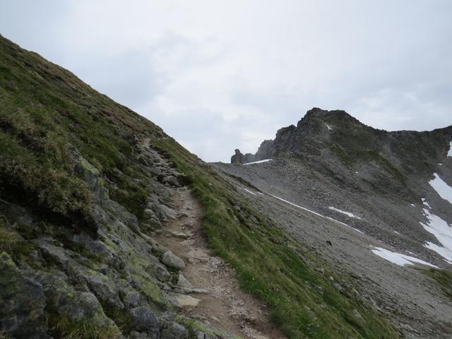 ohne Probleme geht es weiter zum kleinen Sattel. Der eigentliche Pitztaler Jöchl ist weiter rechts