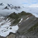 Blick zurück zum Sattel und den Weg von der Braunschweigerhütte