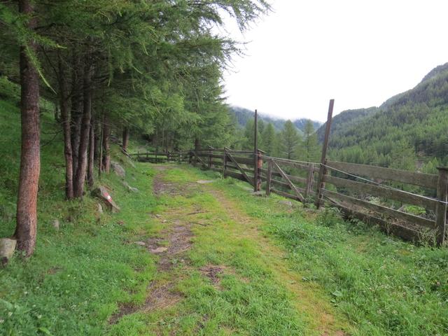 die tiefe Schlucht des Gurgler Tals liegt zwischen uns und der Timmelsjochstrasse