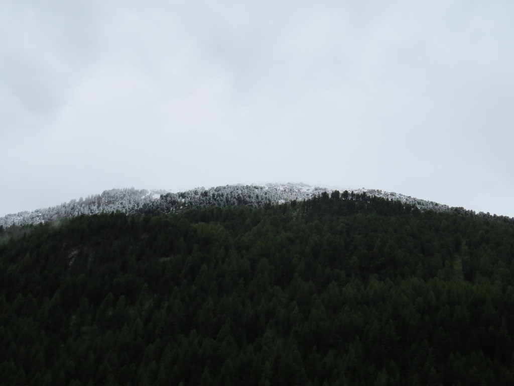 in der Nacht hat es in den Bergen geschneit