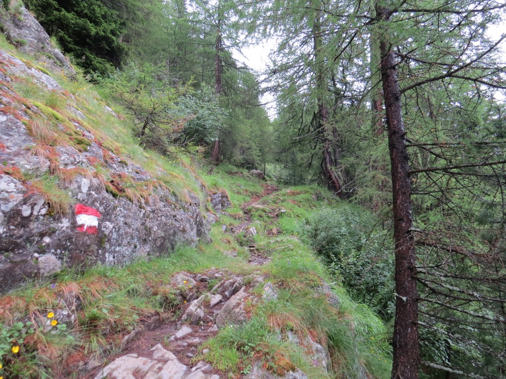 der Wanderweg führt uns nun ins Timmelstal hinein