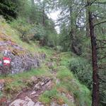 der Wanderweg führt uns nun ins Timmelstal hinein