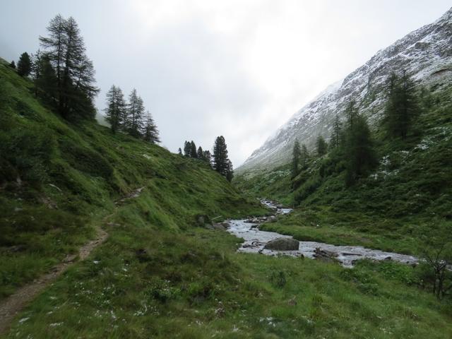 rechts von uns ist nun der Timmelsbach zu sehen