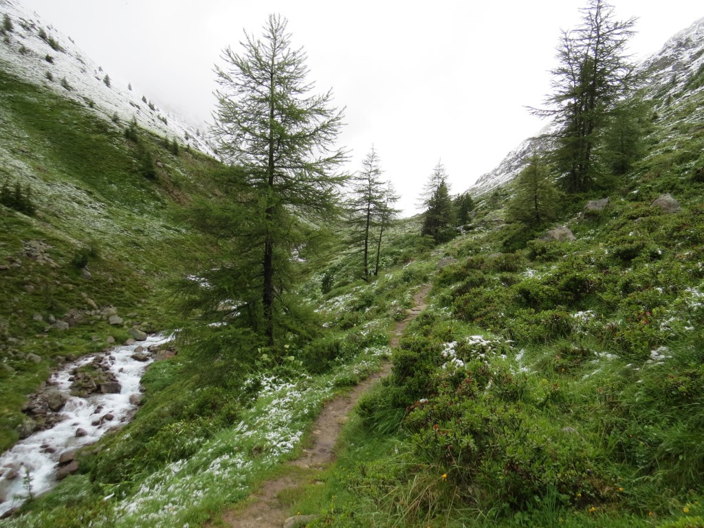 der Timmelsbach ist nun auf der linken Seite und wir laufen weiter Richtung Timmelsjoch