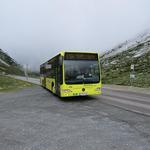 kaum haben wir die Timmelsjoch-Hochalpenstrasse erreicht, erscheint der Bus.