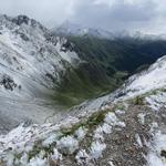 Blick hinunter ins Passeier Timmelstal. Oben weiss unten grün