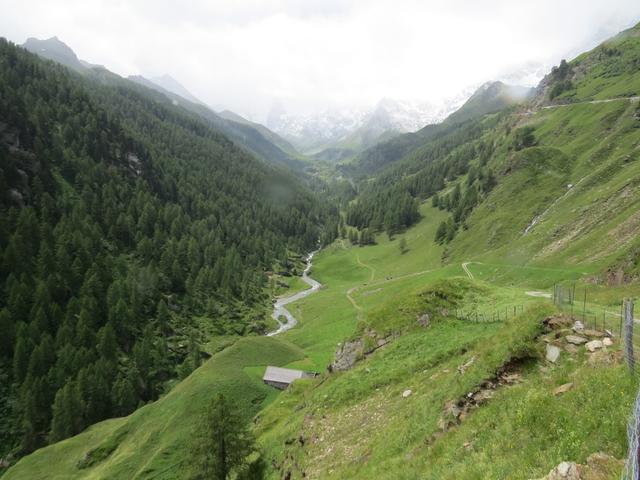 wir verlassen die Timmelsjoch- Hochalpenstrasse und laufen in einem weiten Bogen hinunter zur Glaneggalm 1716 m.ü.M.