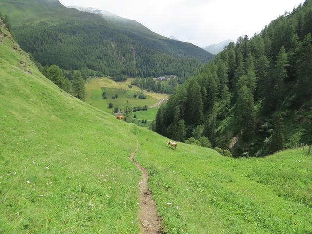 der Wanderweg führt uns nun wieder Talauswärts