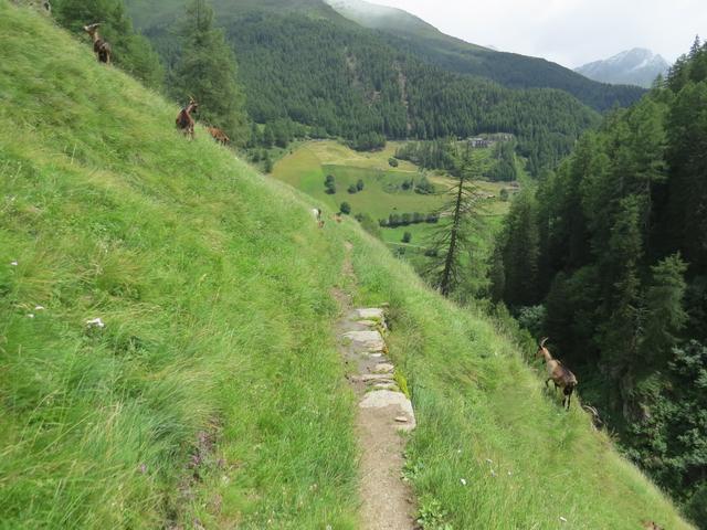 der Weg wird schmal und führt einem steilen Hang entlang