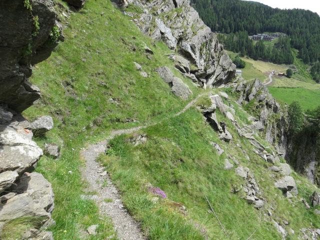 fast senkrecht schiesst hier die Bergflanke in den Talboden hinunter