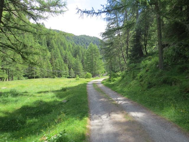 über eine breite Kiesstrasse laufen wir nun im Passeiertal Richtung Rabenstein