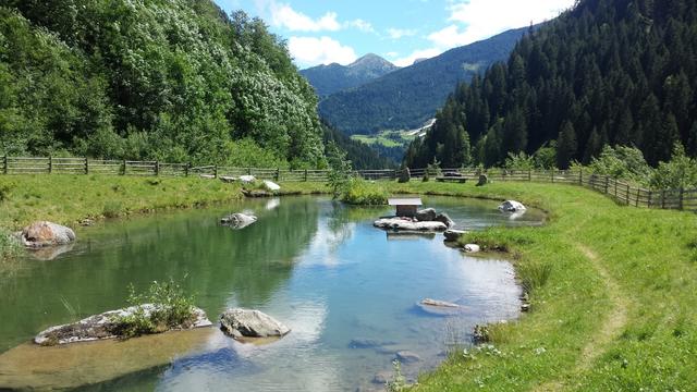 bei einem kleinen Weiher legen wir wieder ein kleine Rast ein