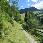 über einen schönen aber sich lange hinziehender Wanderweg...