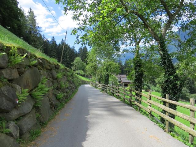 zuerst führt der Weg wieder über eine Asphaltstrasse...