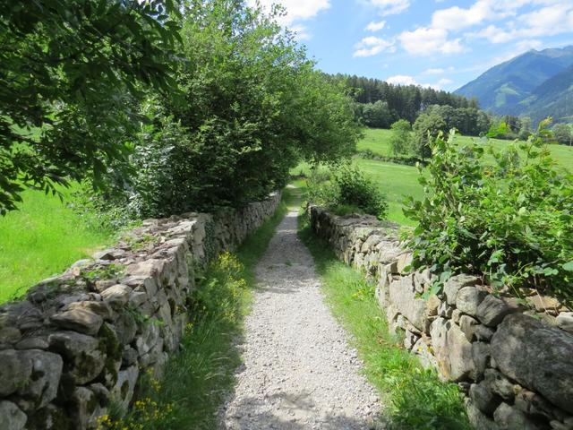 ... um danach in einen schönen Wanderweg einzubiegen