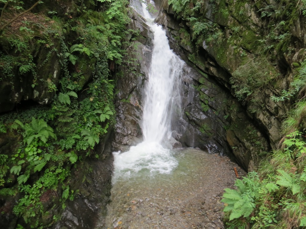 über eine Eisenbrücke überqueren wir den Fartleisbach der sich eine tiefe Schlucht gegraben hat