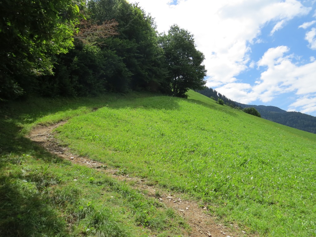 wir durchqueren Wälder und Alpweiden