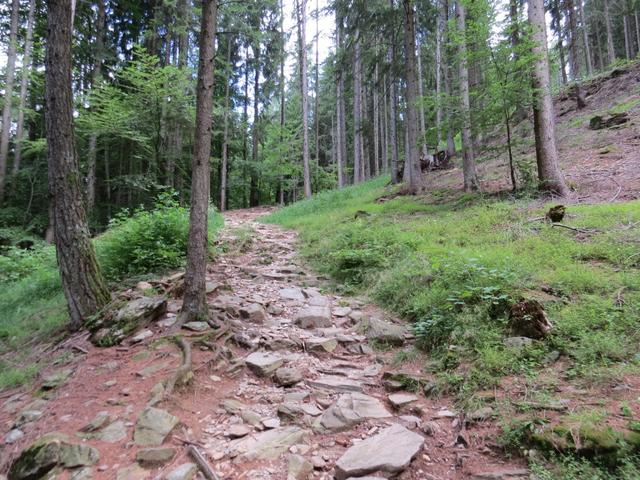 ... bevor wir in den Wald hineinstossen