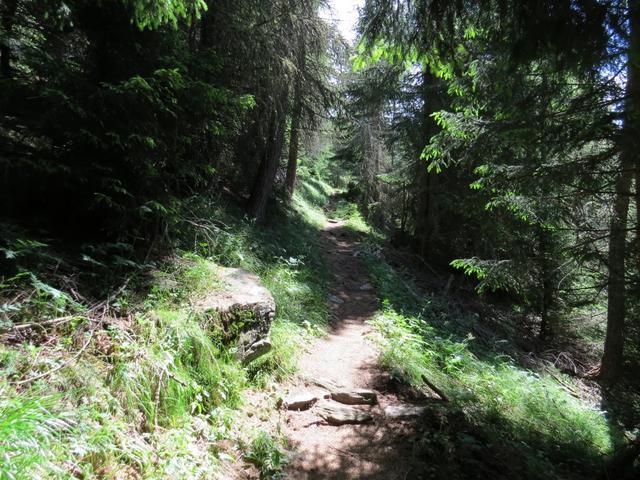 zwischendurch geniessen wir den Schatten im Wald