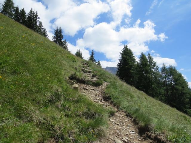 weiter geht es hinauf zur Südflanke der Riffelspitze