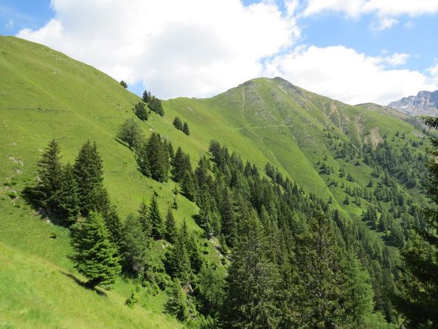 unterhalb des Kamms, der sich von der Riffelspitze zum Prantachkogel hinüberzieht...