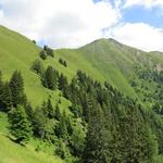 unterhalb des Kamms, der sich von der Riffelspitze zum Prantachkogel hinüberzieht...