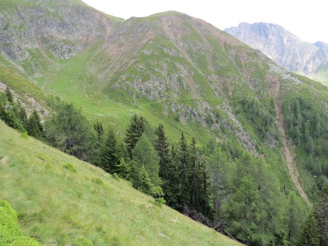 der Weg quert nun die Westflanke des Prantachkogels