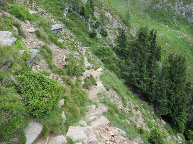 der Bergweg führt uns nun ein stück abwärts...